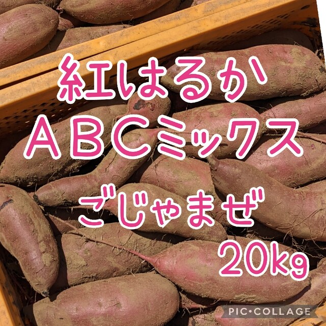 紅はるか　ABCミックス   20kg 食品/飲料/酒の食品(野菜)の商品写真