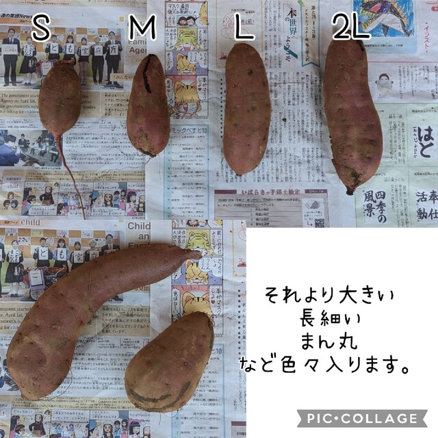 紅はるか　ABCミックス   20kg 食品/飲料/酒の食品(野菜)の商品写真