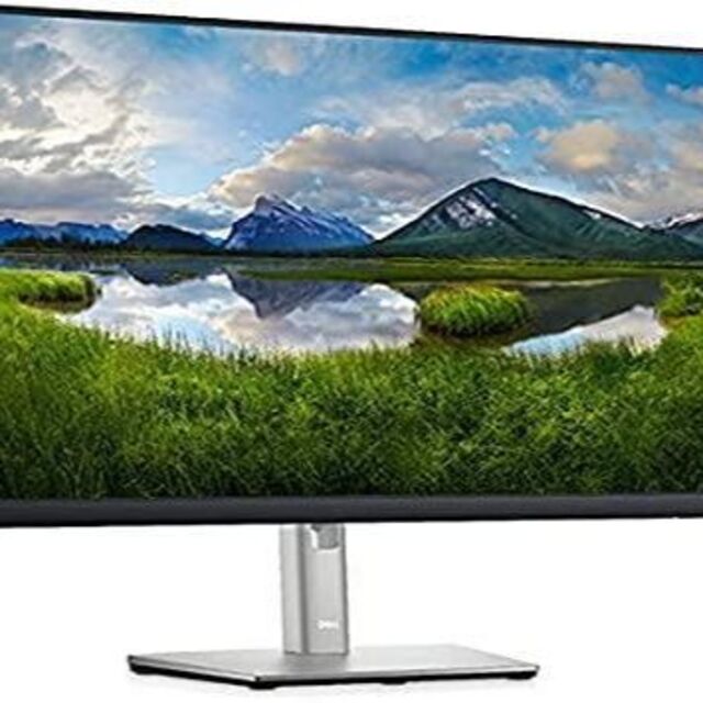 Dell Technologies P2422HE