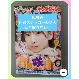 ノギザカフォーティーシックス(乃木坂46)のヤングジャンプ25号⭐️応募券・付録あり❗切り取りなし 乃木坂46 菅原咲月(青年漫画)