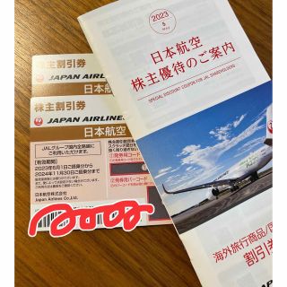 ジャル(ニホンコウクウ)(JAL(日本航空))のJAL株主割引券(航空券)