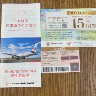 JAL株主優待　日本航空(その他)