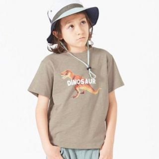 ブリーズ(BREEZE)のBREEZE ブリーズ　恐竜　Tシャツ110(Tシャツ/カットソー)