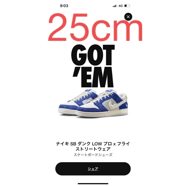 美品 Fly Streetwear NIKE SB Dunk Low ダンク