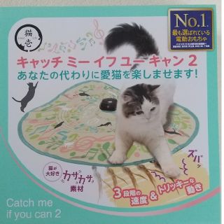 猫壱　キャッチミーイフユーキャン2(猫)