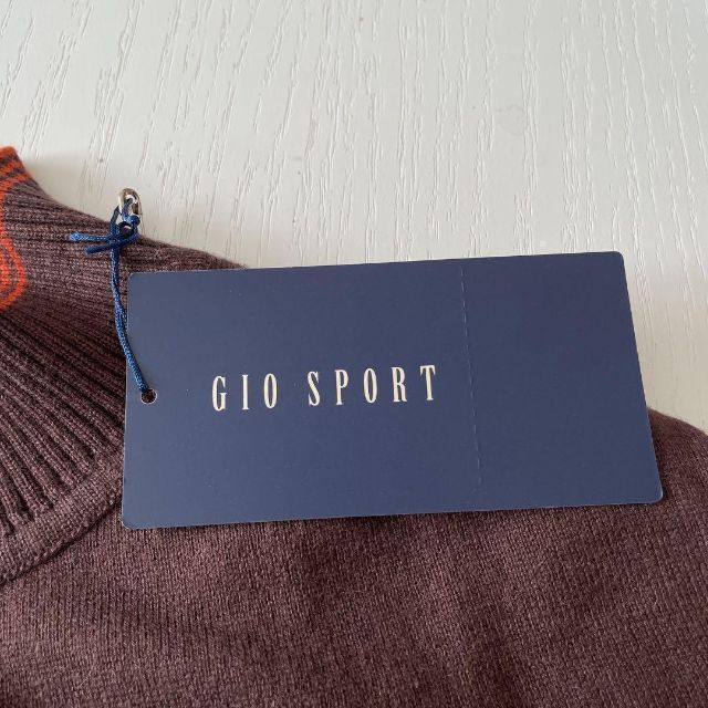 GIO SPORT(ジオスポーツ)のニット GIO SPORT カシミヤ 混 おしゃれ カジュアル 可愛い シンプル レディースのトップス(Tシャツ(半袖/袖なし))の商品写真