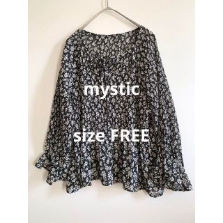 ミスティック(mystic)のmystic 花柄 黒カットソー ベージュ花 透け(シャツ/ブラウス(長袖/七分))