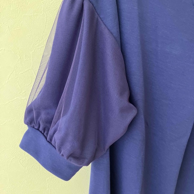 ViS(ヴィス)のVIS チュール袖ぬけ衿プルオーバー  レディースのトップス(その他)の商品写真