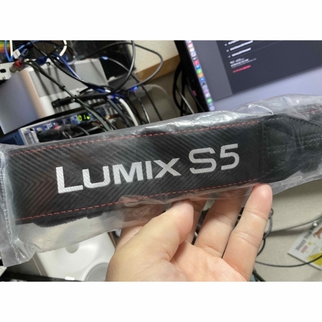 Lumix S5 SmallRigケージ　レンズ　フィルターHDMIレンズ保証付