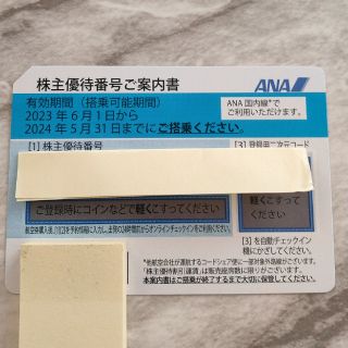 エーエヌエー(ゼンニッポンクウユ)(ANA(全日本空輸))のANA全日空株主優待券（24/05/31）(その他)