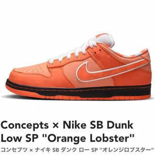 ナイキ(NIKE)のConcepts  SB Dunk Low SP Orange Lobster(スニーカー)