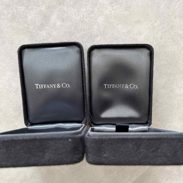 Tiffany & Co.(ティファニー)のティファニー　ネックレス入れ レディースのレディース その他(その他)の商品写真