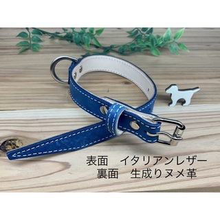 犬　首輪　イタリアンレザーブルー×生成りヌメ革　ハンドメイド(リード/首輪)