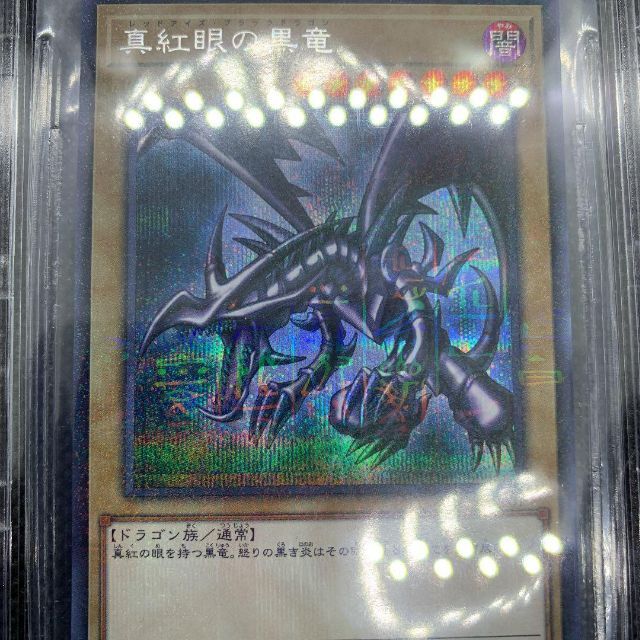 遊戯王 真紅眼の黒竜 レッドアイズ wcs2019 BGS9.5 www.krzysztofbialy.com