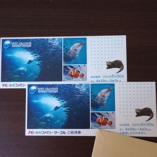 新江ノ島水族館　招待券　２枚組　期限６月３０日(水族館)