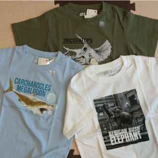 ユニクロ(UNIQLO)の【新品120サイズ】ユニクロ・スミソニアン博物館キッズTシャツ 3枚セット(Tシャツ/カットソー)