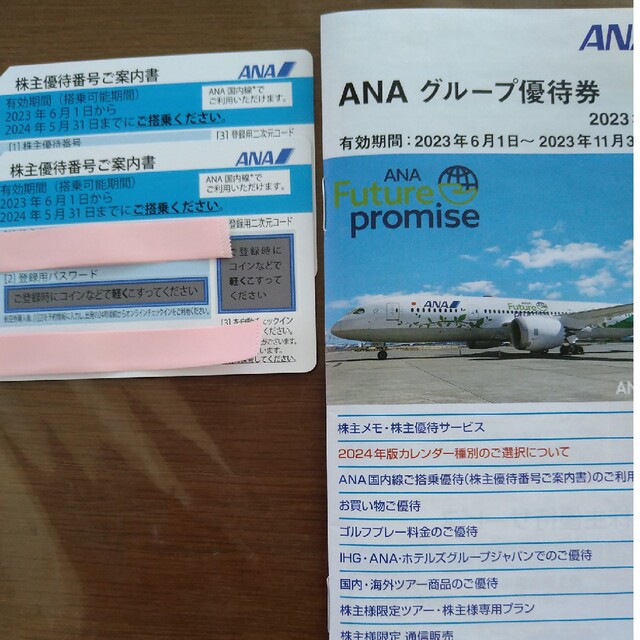 ANA(全日本空輸)(エーエヌエー(ゼンニッポンクウユ))のANA株主優待券　2枚 チケットの優待券/割引券(その他)の商品写真