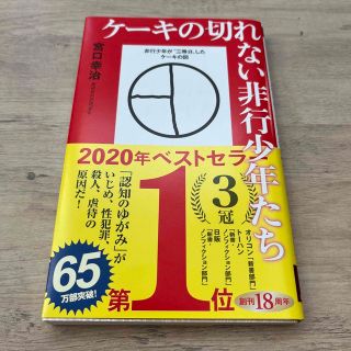 ケーキの切れない非行少年たち(その他)