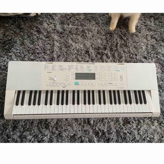 カシオ(CASIO)の光ナビゲーションキーボード　ＬＫ223(キーボード/シンセサイザー)