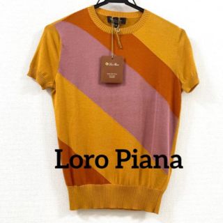 ロロピアーナ(LORO PIANA)の✿新品未使用タグ付き‼️ロロピアーナ配色サマーニット(ニット/セーター)