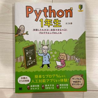 Ｐｙｔｈｏｎ１年生 体験してわかる！会話でまなべる！プログラミングのし(その他)