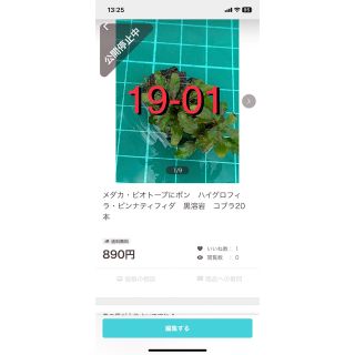 専用出品 18-05 19-01 同梱割引発動⤴︎の通販 by アクアラボ｜ラクマ