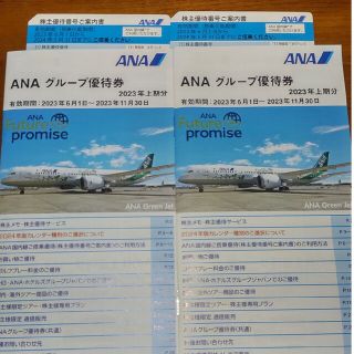 エーエヌエー(ゼンニッポンクウユ)(ANA(全日本空輸))のANA 株主優待券 2枚(航空券)