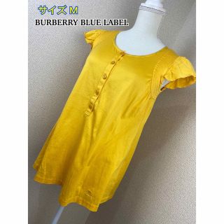 バーバリーブルーレーベル(BURBERRY BLUE LABEL)のBURBERRY BLUE LABEL カットソー(カットソー(半袖/袖なし))