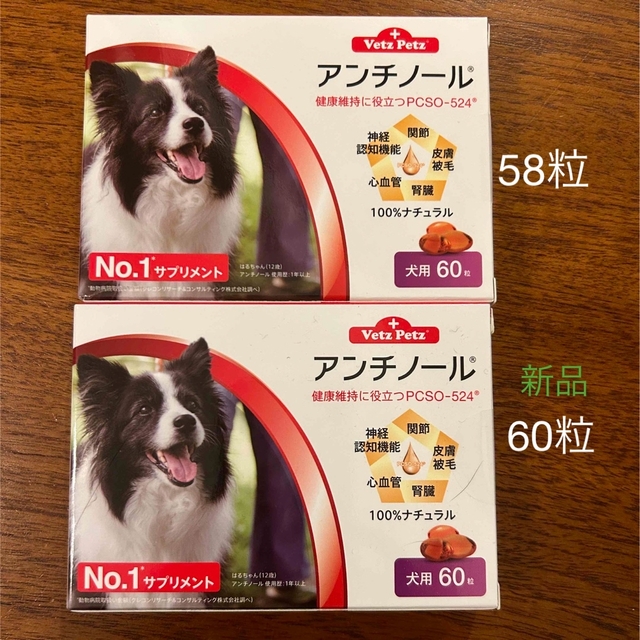 アンチノール　犬用　90粒＋バラ30粒