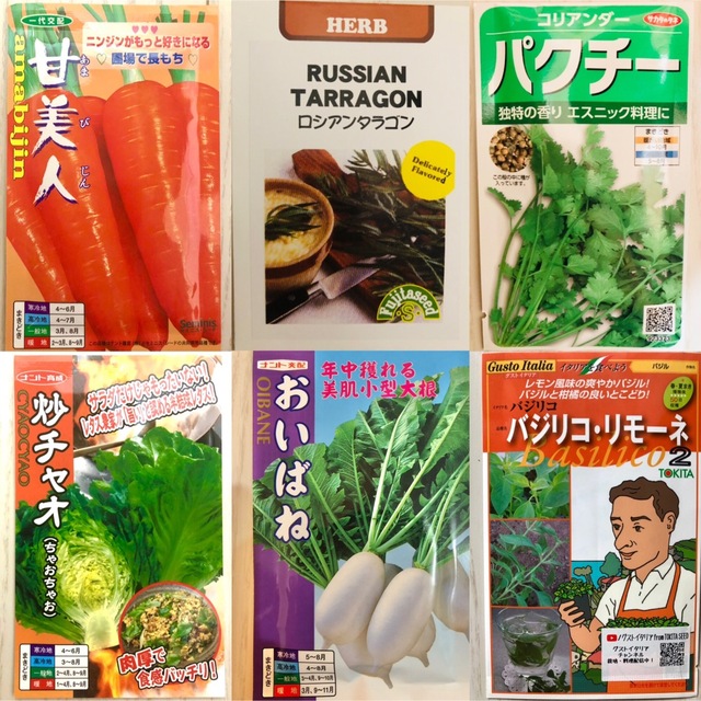 野菜ハーブの種　5種セット 食品/飲料/酒の食品(野菜)の商品写真