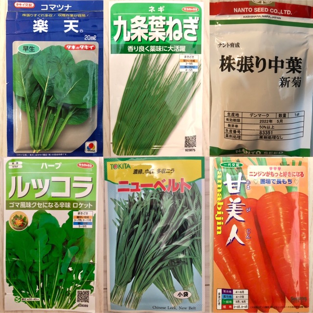 野菜ハーブの種　5種セット 食品/飲料/酒の食品(野菜)の商品写真