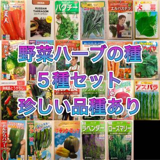 野菜ハーブの種　5種セット(野菜)