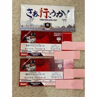 トウキョウヤクルトスワローズ(東京ヤクルトスワローズ)の東京ヤクルトスワローズ　野球チケットペアシート(野球)