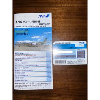 エーエヌエー(ゼンニッポンクウユ)(ANA(全日本空輸))のANA株主優待（１枚）(その他)