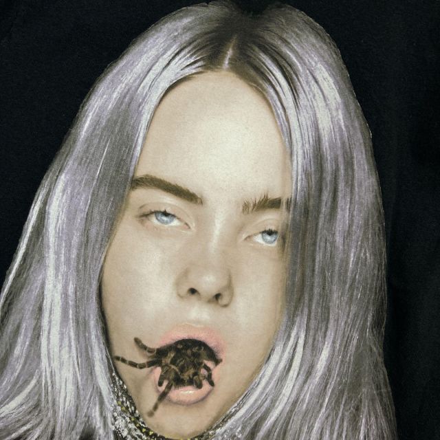 BILLIE EILISH ビリーアイリッシュ スパイダー Tシャツ 蜘蛛