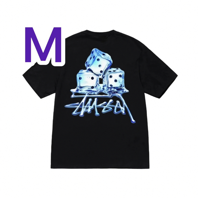 STUSSY MELTED TEE Tシャツ　BLACK ステューシー　半袖