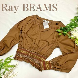 レイビームス(Ray BEAMS)のRayBEAMS レイビームス ブラウス ブラウン (カットソー(長袖/七分))