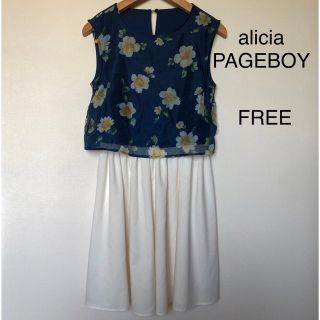 ページボーイ(PAGEBOY)のalicia PAGEBOY ネイビー×オフホワイト　シアー ワンピース(ひざ丈ワンピース)