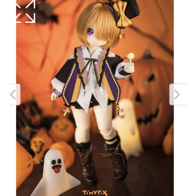 クリアランス セール tinyfox Lilith Fullset 20㎝ドール 男の子