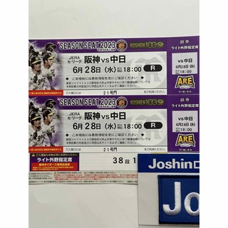 阪神vs中日6/28ライト年間席通路側(野球)