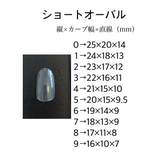 6. ネイルチップ コスメ/美容のネイル(つけ爪/ネイルチップ)の商品写真