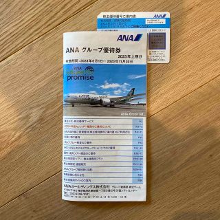 エーエヌエー(ゼンニッポンクウユ)(ANA(全日本空輸))のANA 株主優待(航空券)