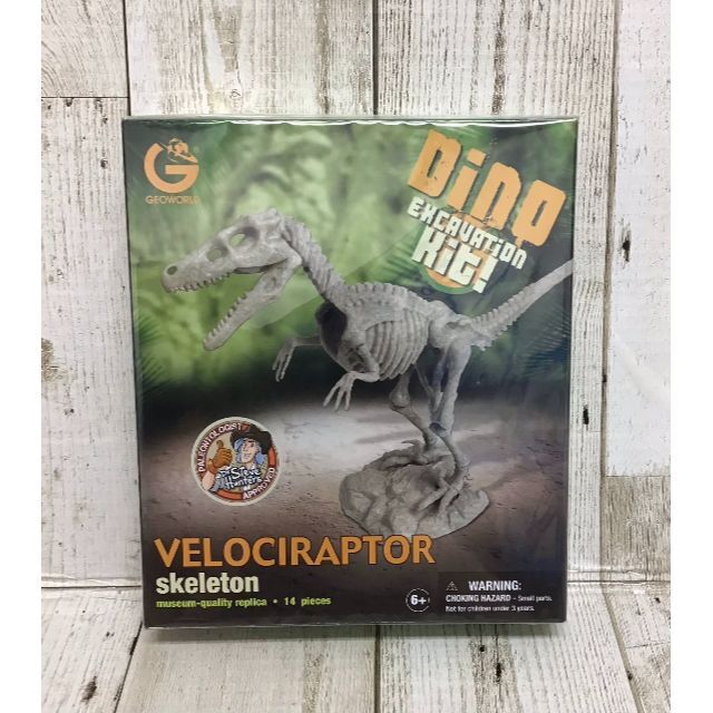 おもちゃ/ぬいぐるみDinoExcavation Kit Velociraptor Skeleton