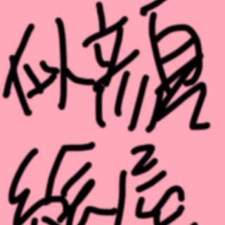 はぁーちゃん様専用(その他)