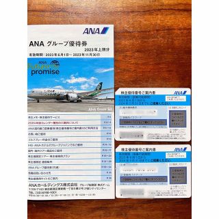 エーエヌエー(ゼンニッポンクウユ)(ANA(全日本空輸))のANA株主優待 運賃優待券2枚と優待券冊子のセット(その他)