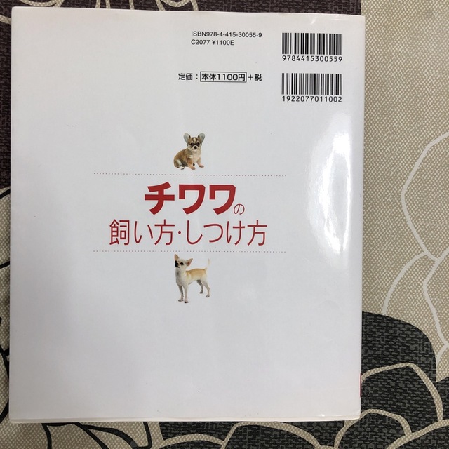 チワワの飼い方・しつけ方 エンタメ/ホビーの本(住まい/暮らし/子育て)の商品写真