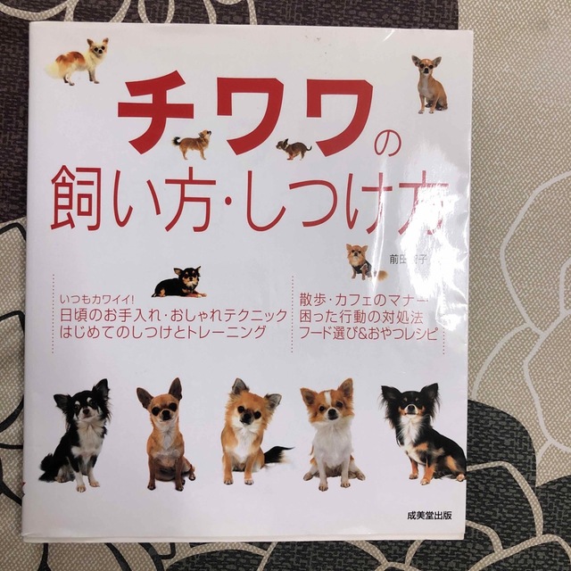 チワワの飼い方・しつけ方 エンタメ/ホビーの本(住まい/暮らし/子育て)の商品写真