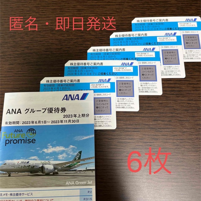 ANA 株主優待　6枚乗車券/交通券