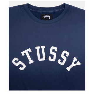 stussy 23ss sun faded oversized crew