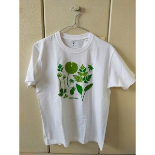 モンベル(mont bell)の新品未使用　mont-bell　Tシャツ(Tシャツ(半袖/袖なし))